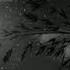 After Dark X Sweater Weather Daddy S Girl Creamy 11 11 Music Group Perfect Slowed Afterdark