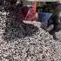 A Taste Of Vuba Resin Surfacing Tasty Satisfying Relaxing Motivation