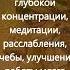 Альфа волны Музыка для глубокой концентрации медитации расслабления учебы улучшения работы мозга