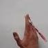 Learn The Easiest Pen Trick In 3 Steps