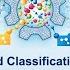 Clustering And Classification Workshop Session 1 NIEHS NIH October 3 2022