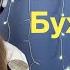 Комбинация Бухгалтер Поёт Елена Алеевская Отрывок из стрима