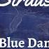 J Strauss II The Blue Danube Waltz