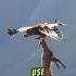 Eagle Carrying Heavy Prey