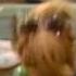 ALF Old Time Rock Roll Bob Seger Musik Video Music Video