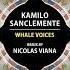 Kamilo Sanclemente Whale Voices Nicolas Viana Remix Univack