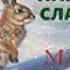 Читаем книгу Н Сладкова Лесной календарь Март