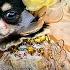 Furries De Mayo Fur Santacruzan Held To Promote Responsible Pet Ownership ABS CBN News