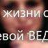 Шепотки на все случаи жизни Инга Хосроева ВЕДЬМИНА ИЗБА