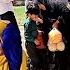 Accusation Or Truth Is The Missing Child Ali S Other Child