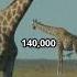 Giraffes Get Hit By Lightning 30x More Than Humans Shorts Facts India Fun Lighting Viral