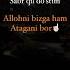 Sabr Sabrni Tagi Sariq Oltin