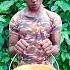 44 Arms Workout Ghar Per Kar Sakte Hain Jabir Fitness Viralvideo