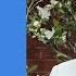 Liberal Leader Sussan Ley Defends The Number Of Women In Shadow Cabinet ABC NEWS