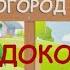 Огород на подоконнике