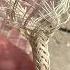 Make Sure Your Pool Is Safe Here Is Why We Love Our Pool Net