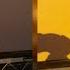 Watch Justin Bieber S New Video For His Schmidt S Here Now Deodorant The Formula He Sported On H