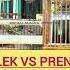 Ciblek Gacor Vs Prenjak Gacor Shorts Ciblek Prenjak Masteranburung Masteranmuraibatu Bird