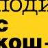 ГОСПОДИН С КОШКОЙ ДЕНИС ДРАГУНСКИЙ Рассказы