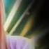 Remix Uu Nai Na Dj Remix Full Song Uu Nai Na Dj Song 2019
