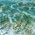 Vangelis Song Of The Seas