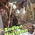 Soulful Rhythms Indian Musician Masters Traditional Musical Instrument India ThisAndThatFlUSA