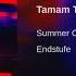 Summer Cem Tamam Tamam Endstufe Audio