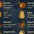 Zodiac Signs As Wives Astrology Horoscope Usa
