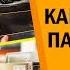 Как выбрать парктроник Парковочные системы Нюансы подбора На что обратить внимание