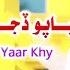 Niyapo Dijo He Yaar Khy Shahid Ali Babar Official Music Video Arif Enterprises