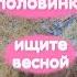 Стихи на 8 марта женщинам Свою половинку ищите весной