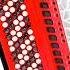 Lonely Accordion 1