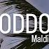 THODDOO MALDIVES 24 Тодду Мальдивы январь 2024г часть 1