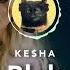 8D Audio Ke Ha Blah Blah Blah Ft 3OH 3
