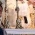 What Is The Future Of The Novus Ordo W Michael Gormley