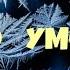 Рекс Стаут Право умереть Часть вторая Детектив Аудиокнига Читает актёр Юрий Яковлев Суханов
