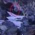 Trapped Snowleopard WWF Mongolia
