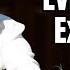 Federal Agent Psychologist Testify About Diddy S Dark Secrets Lifestyle Diddy Trial Day 8