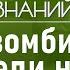 Как грибы паразитируют на живых организмах и почему лучше не трогать кошек Лекция Никиты Лавренова