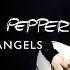 Goodbye Angels Red Hot Chilli Peppers Guitar Cover