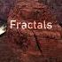 Suduaya Fractals
