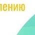 Пути перехода к самоуправлению Иван Молчанов и Арина Багаева вебинар 15 11 23