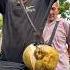 Malaysian Uncle S Coconut Cutting Trick Is Next Level Smart