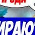 УБИЙЦА НУБОВ ПОКАЗАЛ СЕКРЕТНЫЙ БИЛД НА ЗЕВСА ВАНШОТ ЛЮБОГО С УЛЬТА ДНЕВНИК УБИЙЦЫ НУБОВ
