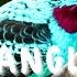 The BREATHTAKING Spangled Cotinga Cotinga Cayana