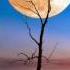 Moon In The Water Karunesh