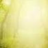 Dark Forest Blisargon Demogorgon Blisargon Demogorgon Dj Set Dragonfly Radio 24 June 2015
