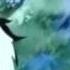 One Piece Impel Down AMV