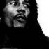 Bob Marley Iron Lion Zion