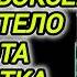 Аудиокнига ПОДАНЦЫ В ПРОШЛОЕ ЧЕМПИОН БОКСЕР ПОПАЛ В ТЕЛО ЗАДРОТА ПОДРОСТКА